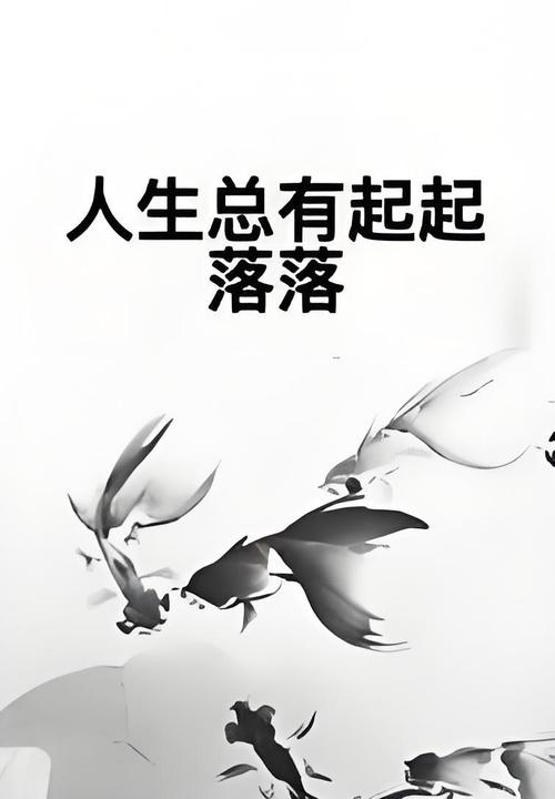 他的人生经历,他的人生经历起起落落