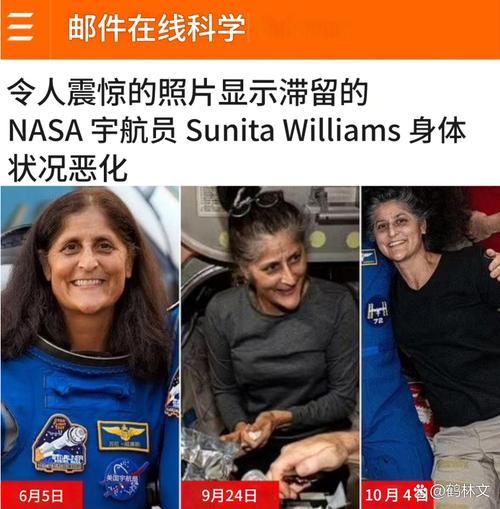 宇航员孕妇流浪汉被困孤岛,荒岛求生孕妇发明家医学家宇航员