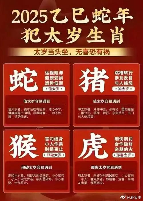 缮打一生肖,缮打一生肖最佳答案