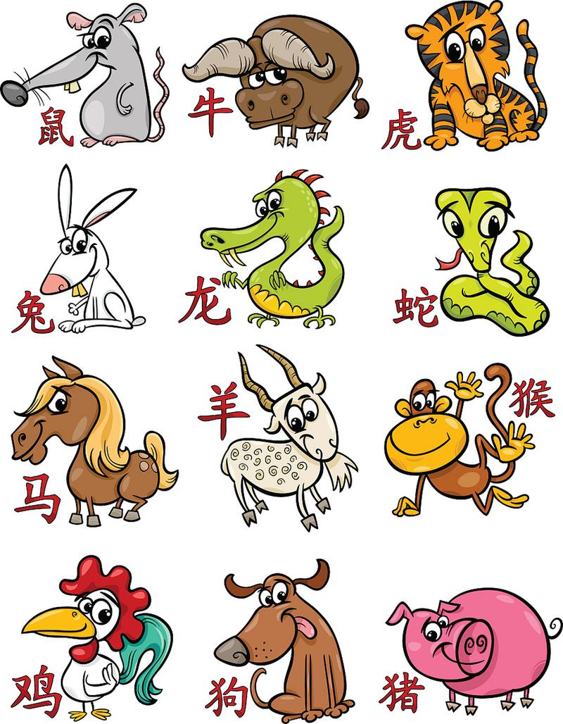 什么生肖旺龙女呢,什么生肖女旺夫旺家