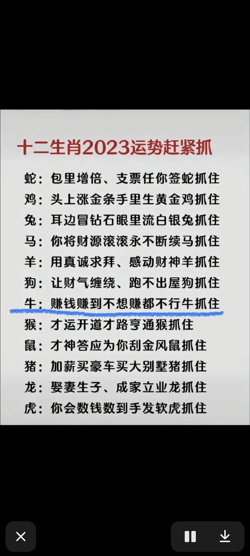 今期生肖出金花正确答案,今期生肖开金花是什么意思