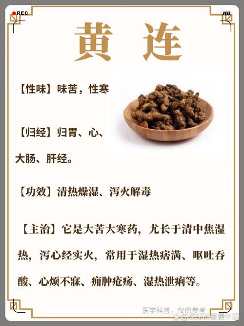 “黄连甘草挑一担”打一最佳准确生肖的简单介绍