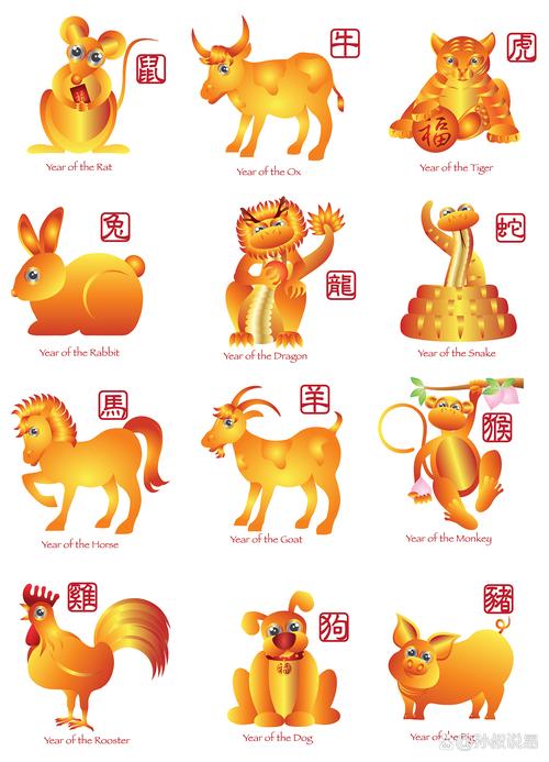 今期生肖十一头什么生肖,十二生肖十一头属什么生肖