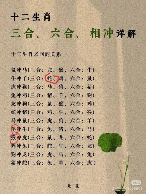 “今期生肖路路通”打一动物生肖