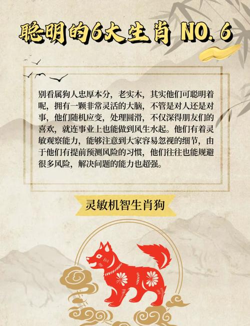 聪明绝顶是什么生肖,聪明绝顶的生肖第一名