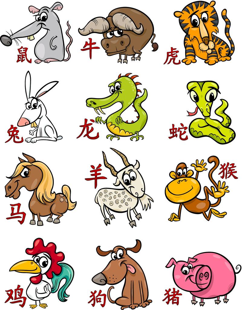 “心灵手巧”代表什么生肖