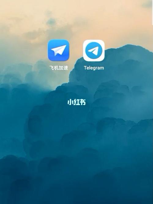 便捷完成TelegeramX版本下载，畅享流畅聊天体验