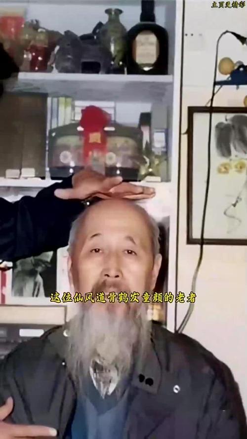 鹤发童颜最准确的生肖,鹤发童颜最准确生肖动物