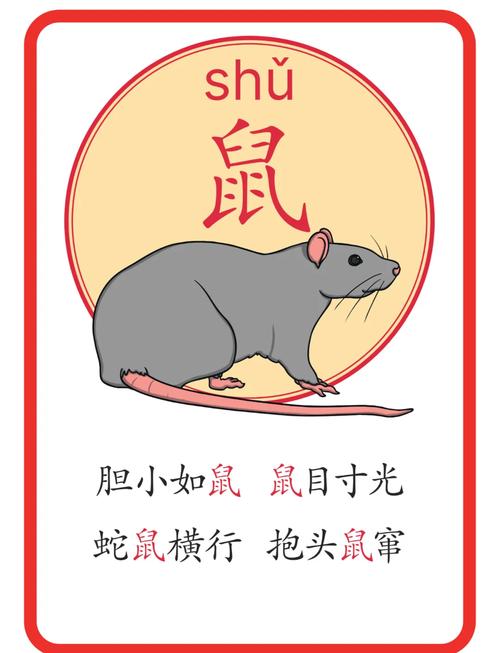 刚正无私打一准确生肖,刚正什么什么成语大全四个字