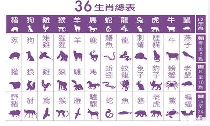 三十二个小兄弟什么生肖,三十二个小兄弟,都夸用它有好处